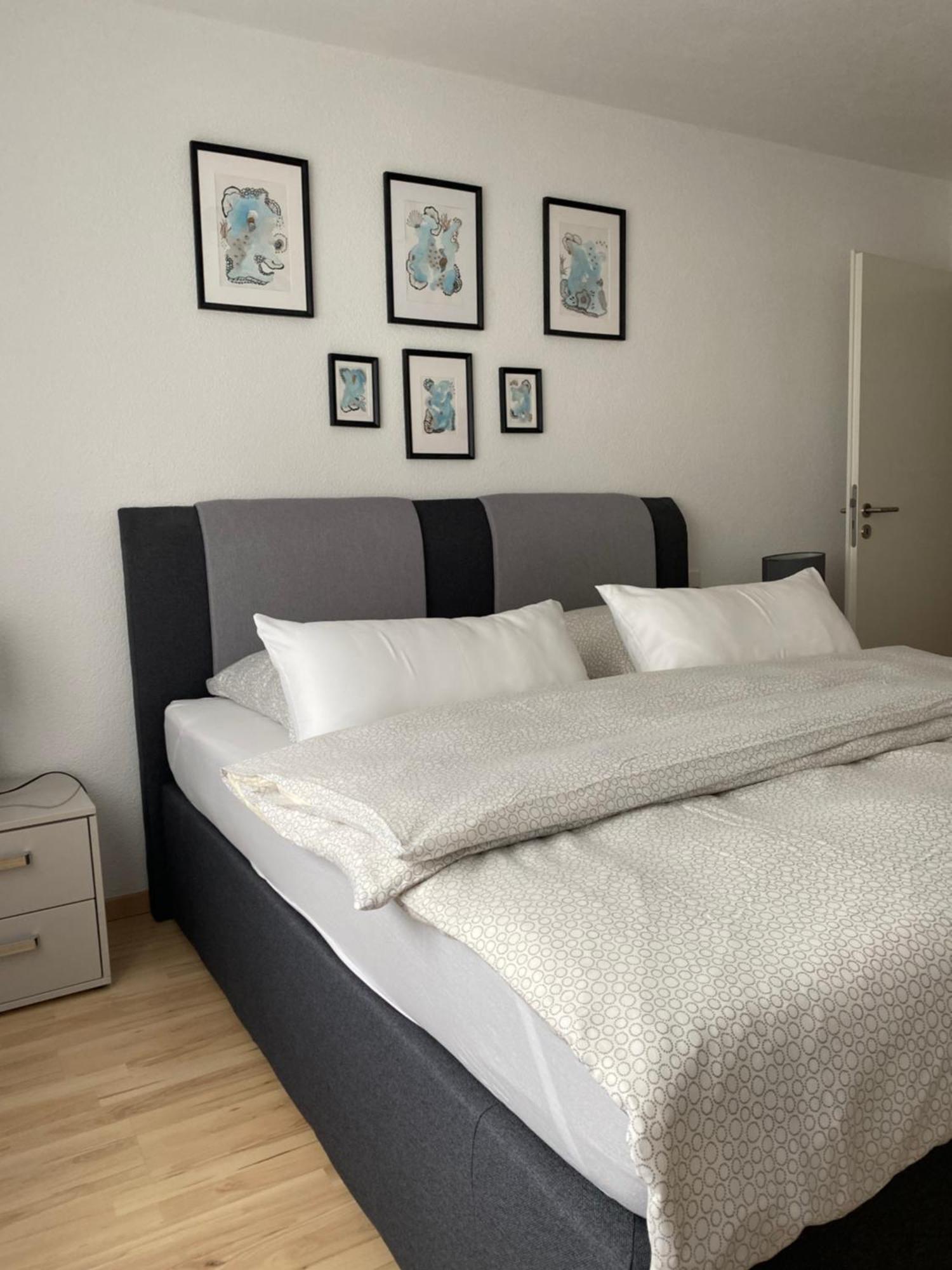 Gemuetliches City Apartment Friedrichshafen Ngoại thất bức ảnh